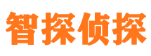 西城寻人公司